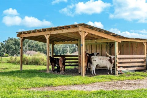 Land in Lakeland, Florida № 1907312 - photo 12