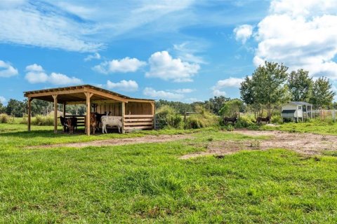 Land in Lakeland, Florida № 1907312 - photo 11