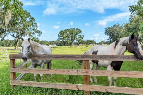 Land in Lakeland, Florida № 1907312 - photo 9