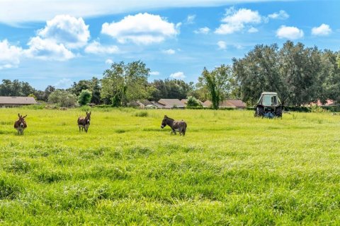 Land in Lakeland, Florida № 1907312 - photo 29