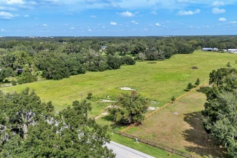 Land in Lakeland, Florida № 1907312 - photo 3