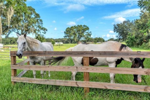 Land in Lakeland, Florida № 1907312 - photo 7