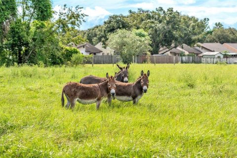 Land in Lakeland, Florida № 1907312 - photo 19