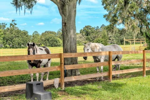 Land in Lakeland, Florida № 1907312 - photo 30