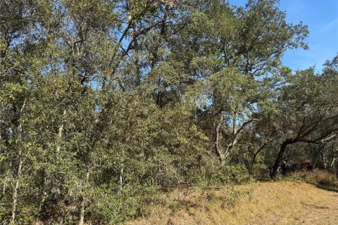 Land in Ocklawaha, Florida № 2162608 - photo 6