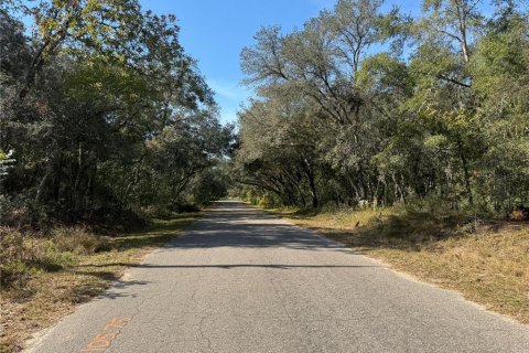 Land in Ocklawaha, Florida № 2162608 - photo 7