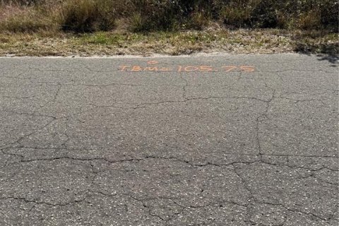 Land in Ocklawaha, Florida № 2162608 - photo 5