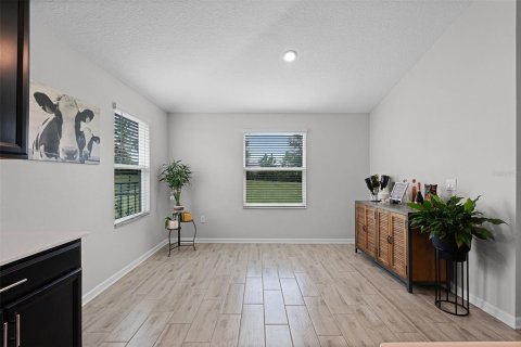 House in Mount Dora, Florida 4 bedrooms, 243.5 sq.m. № 1899191 - photo 15