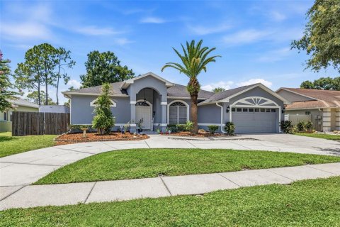 Villa ou maison à vendre à Tampa, Floride: 4 chambres, 233.46 m2 № 2210163 - photo 2