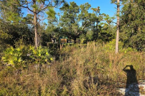 Land in Port Charlotte, Florida № 2160467 - photo 2