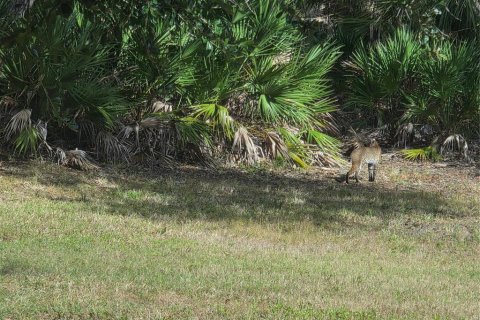 Land in Port Charlotte, Florida № 2160467 - photo 3