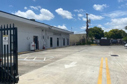 Immobilier commercial à louer à Hollywood, Floride № 1224666 - photo 1