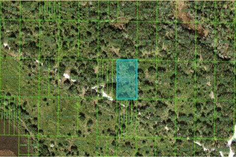 Terreno en Frostproof, Florida № 2160714