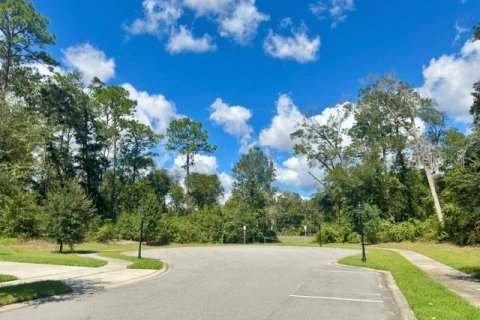 House in DeLand, Florida 3 bedrooms, 156.54 sq.m. № 2428908 - photo 27