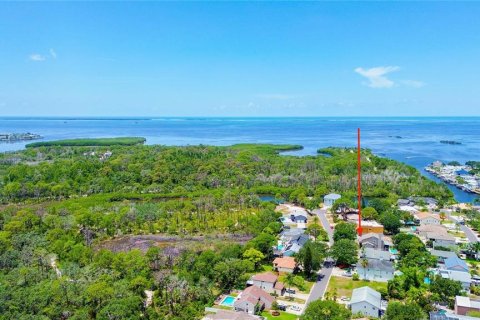 Villa ou maison à Palm Harbor, Floride 4 chambres, 211.45 m2 № 2208985
