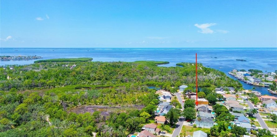House in Palm Harbor, Florida 4 bedrooms, 211.45 sq.m. № 2208985