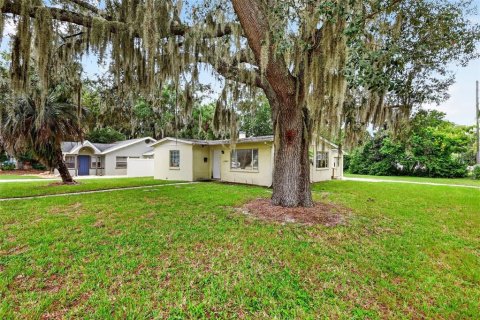 Villa ou maison à vendre à Mount Dora, Floride: 2 chambres, 99.22 m2 № 2391071 - photo 2