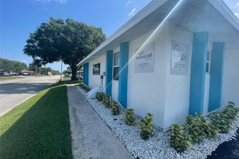 Commercial property in Saint Petersburg, Florida 145.67 sq.m. № 2206340 - photo 2