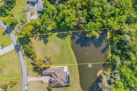 Land in New Smyrna Beach, Florida № 2106038