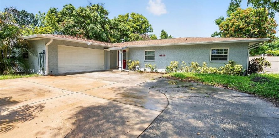 House in Tampa, Florida 3 bedrooms, 224.45 sq.m. № 2236190