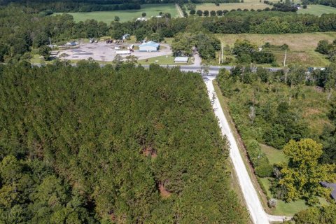 Land in Lawtey, Florida № 1886440 - photo 8