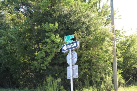 Land in Lawtey, Florida № 1886440 - photo 3