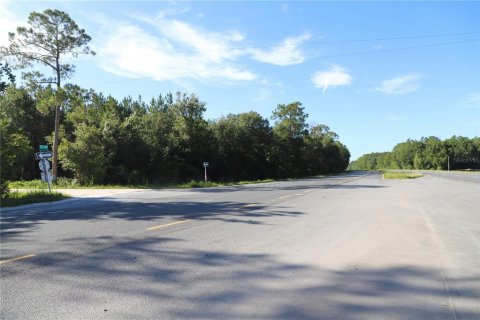 Land in Lawtey, Florida № 1886440 - photo 2