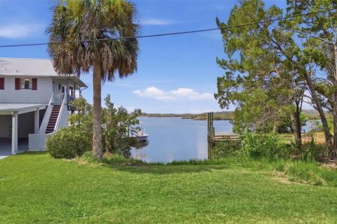 Villa ou maison à vendre à Homosassa, Floride: 5 chambres № 2404481 - photo 6