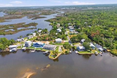 Villa ou maison à vendre à Homosassa, Floride: 5 chambres № 2404481 - photo 9
