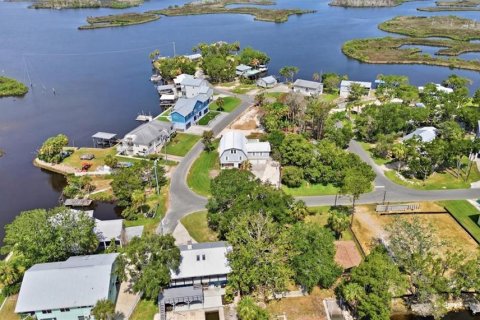 Villa ou maison à vendre à Homosassa, Floride: 5 chambres № 2404481 - photo 10