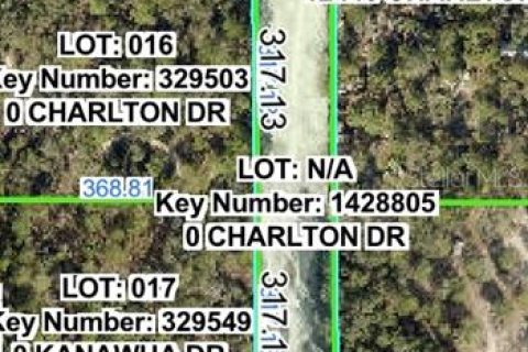 Land in Brooksville, Florida № 2159822