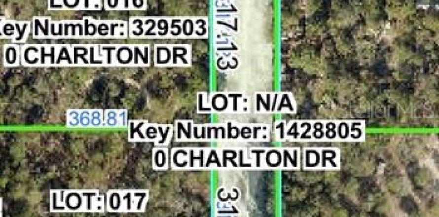 Land in Brooksville, Florida № 2159822