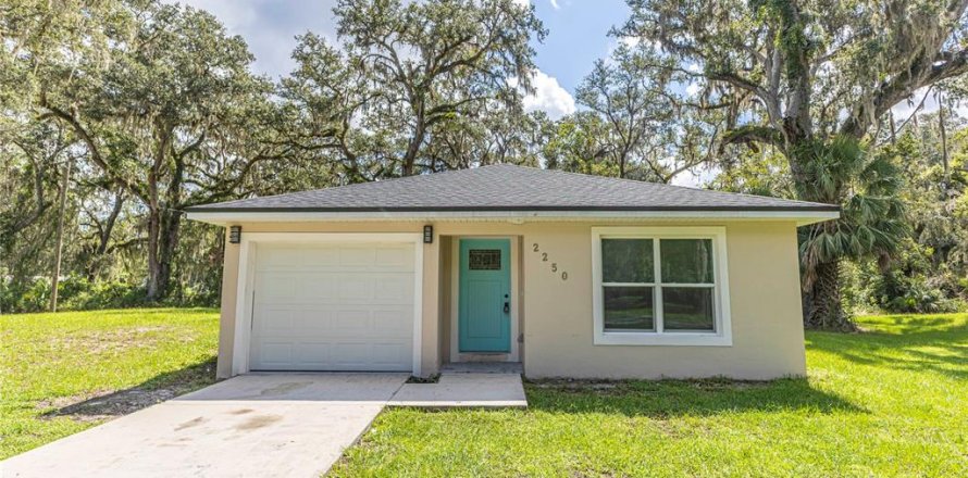 House in Lake Panasoffkee, Florida 3 bedrooms, 103.59 sq.m. № 1900439