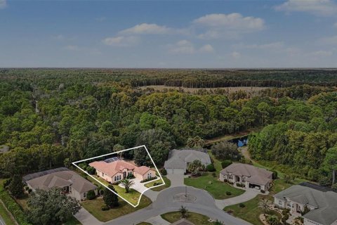Villa ou maison à vendre à Weeki Wachee, Floride: 3 chambres, 212.56 m2 № 2429263 - photo 11
