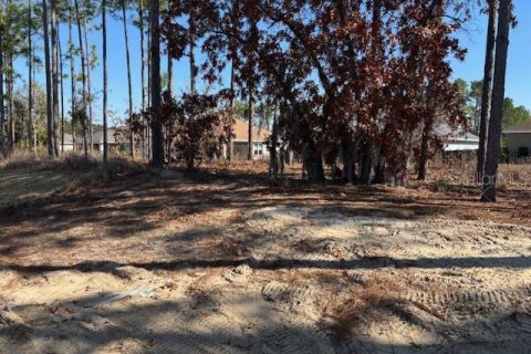 House in Dunnellon, Florida 3 bedrooms, 159.79 sq.m. № 1538097 - photo 11