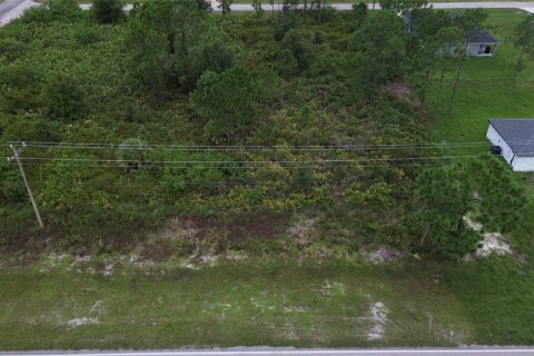Land in Lehigh Acres, Florida № 2162869 - photo 5