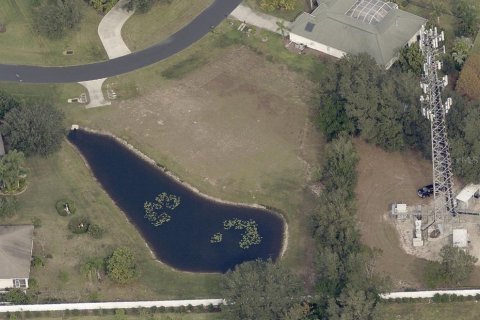 Terrain à vendre à Lutz, Floride № 565847 - photo 6
