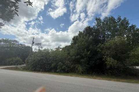 Land in Naples, Florida № 1978659 - photo 3