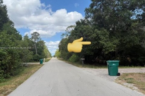 Land in Naples, Florida № 1978659 - photo 2