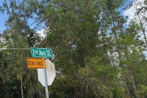 Terrain à Naples, Floride № 1978659