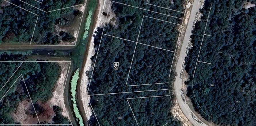 Land in Kissimmee, Florida № 2161332