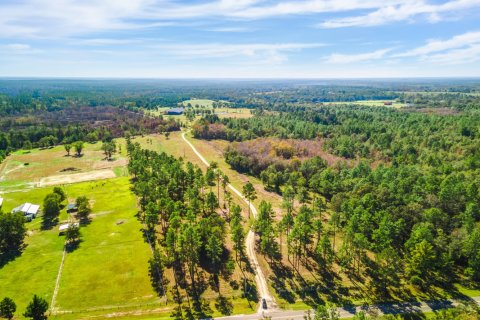 Terreno en venta en Laurel Hill, Florida № 562161 - foto 1