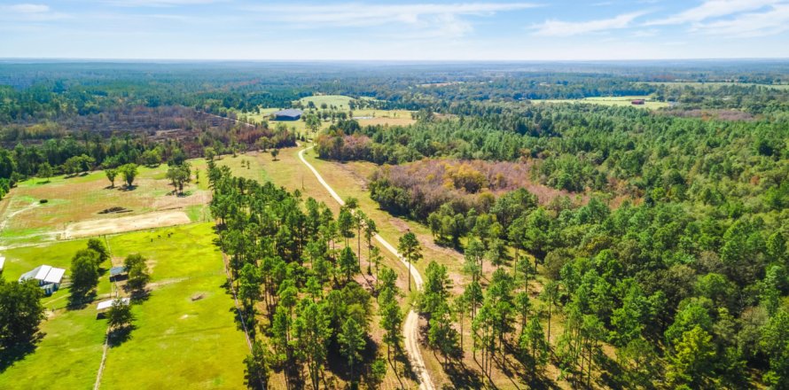 Terreno en Laurel Hill, Florida № 562161