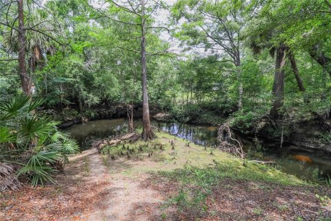 Villa ou maison à vendre à Morriston, Floride: 2 chambres, 76.09 m2 № 1761910 - photo 9