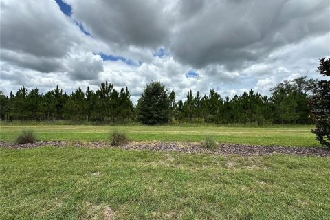 Villa ou maison à louer à Davenport, Floride: 4 chambres, 317.63 m2 № 2400362 - photo 29