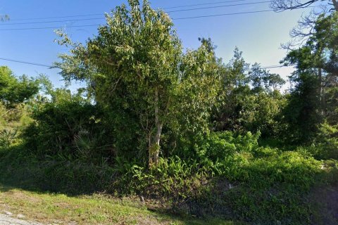 Terrain à vendre à Englewood, Floride № 1905627 - photo 1