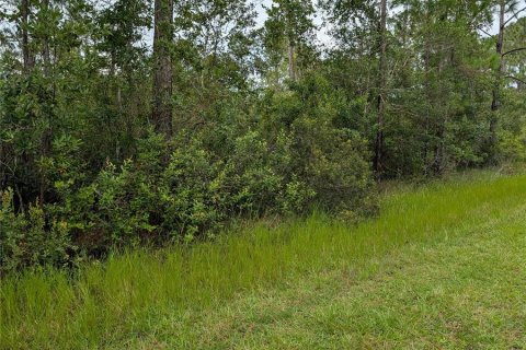 Terrain à vendre à Indian lake estates, Floride № 2160875 - photo 6