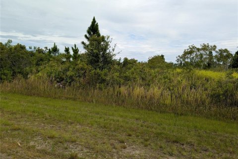 Terrain à vendre à Indian lake estates, Floride № 2160875 - photo 4