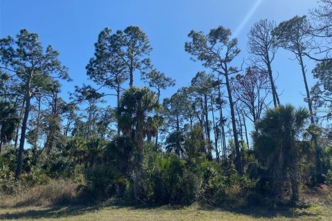 Terrain à Port Charlotte, Floride № 2388667
