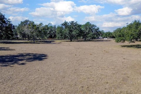 Land in DeLand, Florida № 2212635 - photo 25